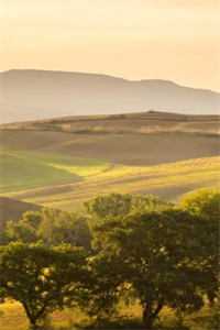 结婚五年，丈夫让我给他的新欢做保姆精修版