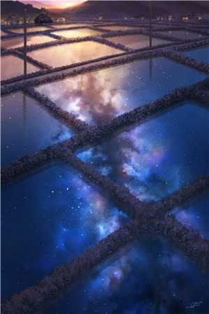 女神嫌我穷酸，我转身氪进美人圈后续+全文