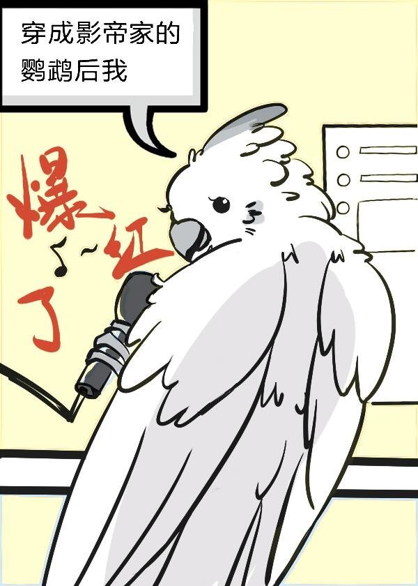 精品选集仕途狂飙：从穷乡僻壤到县委大院