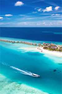 从前我眼瞎，今后我潇洒篇章