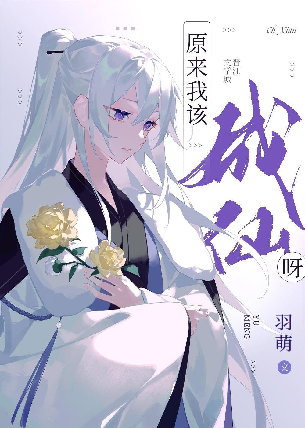 故意调换花轿后，将军红了眼后续完整版