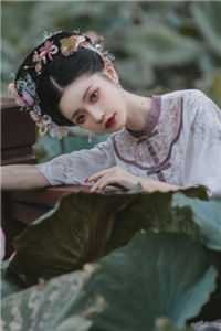 南柯覆不见经年许槐沈宴知全文