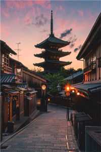 星河潋滟了夜色无删减全文