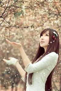 星河潋滟了夜色阅读