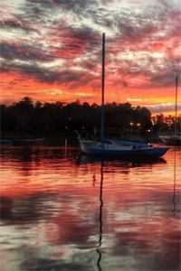 白露枝头复往春广告+结局