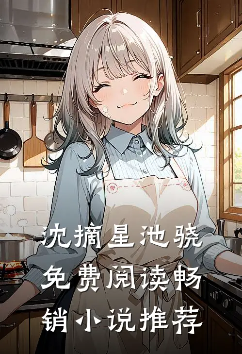 沈摘星池骁免费阅读畅销小说推荐