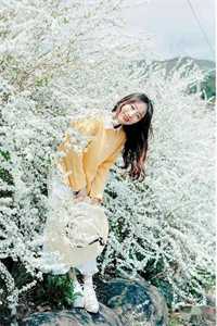 星河潋滟了夜色好书