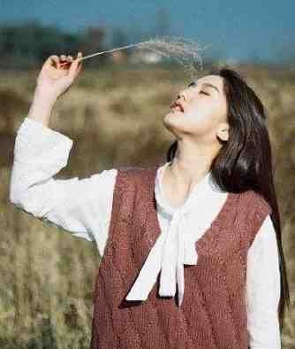 落雨生潮宋予衡温昭雨后续+完结