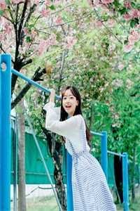 枯木不再生花，你我陌路天涯小说