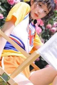 梨花落尽月又西后续+结局