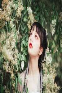 谁把谁当真黎朔程秀全文+免费