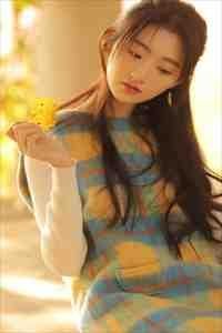 人似秋鸿来有信后续+结局