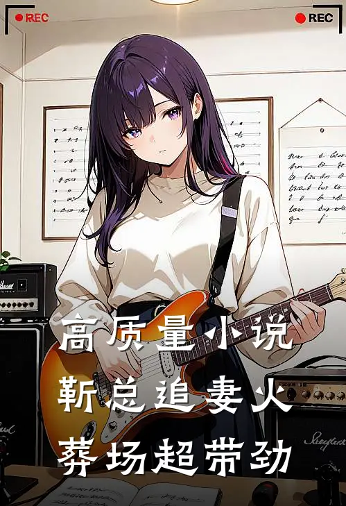 高质量小说靳总追妻火葬场超带劲