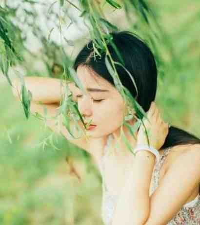 女神嫌我穷酸，我转身氪进美人圈小说