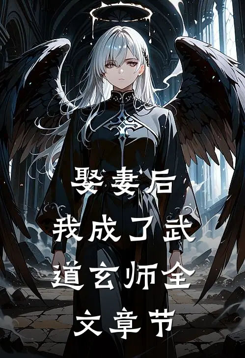 娶妻后,我成了武道玄师全文章节阅读