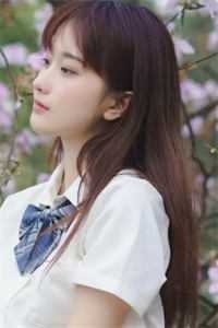 岁岁年年明月独悬完整版