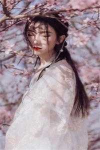 东宫美人！太子殿下折腰宠！完结+番外