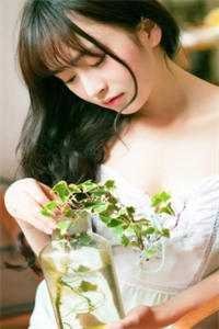 陷落京霓爆火全网