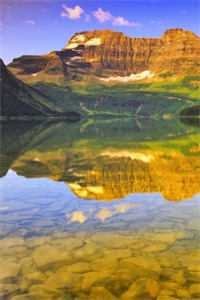 献祭辣条出红光，拜金前任悔哭了完结txt