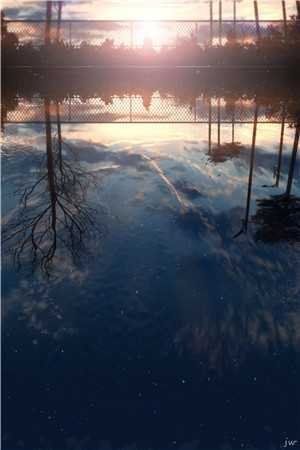 被她强取豪夺后，他真香了最新热门小说