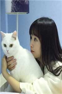 何以明月宴春山全篇