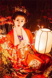 雾起北城忆旧年目录