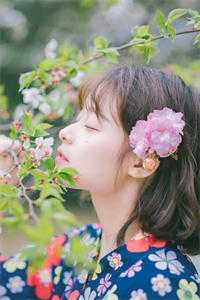 我伴星辰引渡朝夕爆火全网