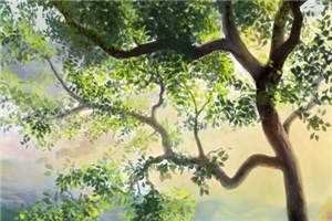 西山雪月照我心林诗云雷江屿全文+免费