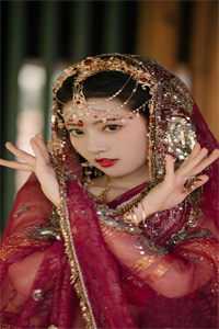 权利下的掠夺优质全文阅读