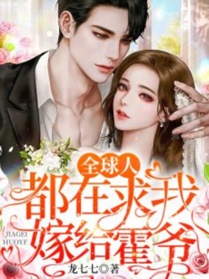 北风起时问归期章节