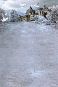 誓不为妾，世子爷的绝世恩宠最新