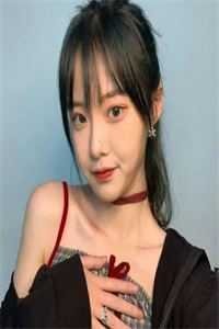 灯火阑珊，你已不在小说免费