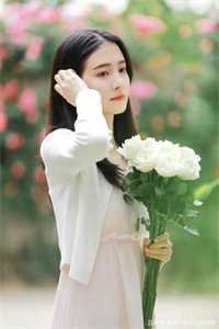 蝶落人间一场劫爆款热文