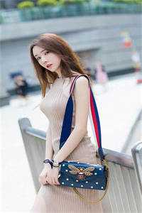 星河潋滟了夜色全球完整文集