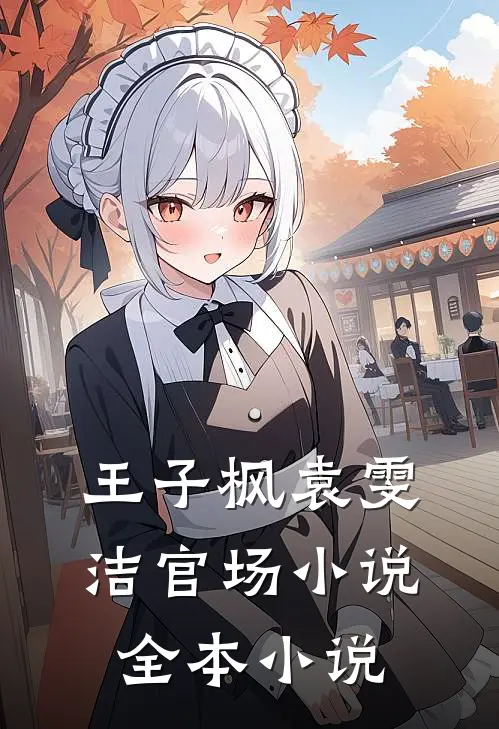 王子枫袁雯洁官场小说全本小说
