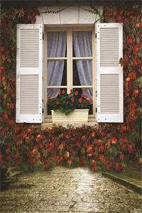 扶摇鹤南飞前文+