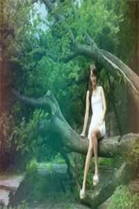 我拒绝拆迁后，成了罪人宋星冉老李全局