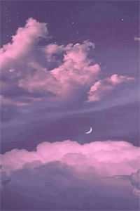 誓不为妾，世子爷的绝世恩宠后续+完结