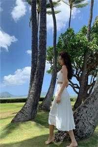 清风不渡相思人的小说