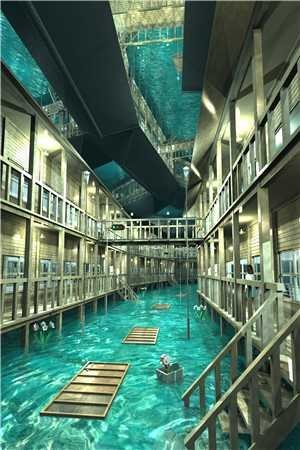 花开在夜深人静时完结txt