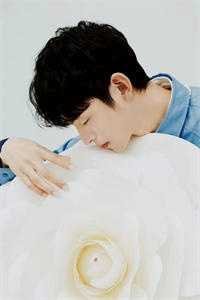 娇娇王妃驾到，撩拨王爷脸红心跳小说畅读