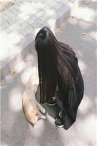 觉今而是昨非全局