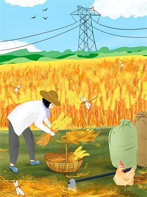 白头并非雪可替未删节