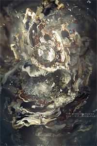 她曾把光藏入怀试读