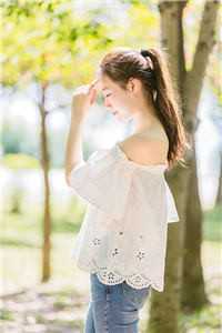 梦里凋零的红蔷薇热门