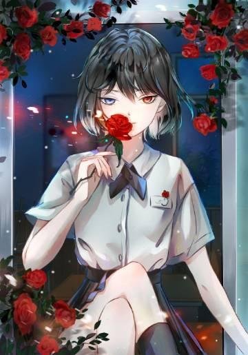 精品小说沈时砚沈鹿溪免费全本阅读