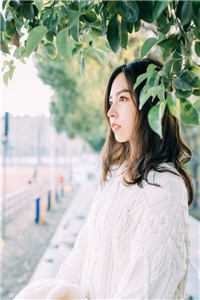 我捧烈士骨灰，重生嫁军区大佬了精彩