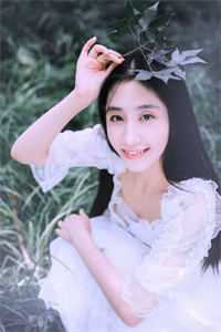 雪迟再不归章节