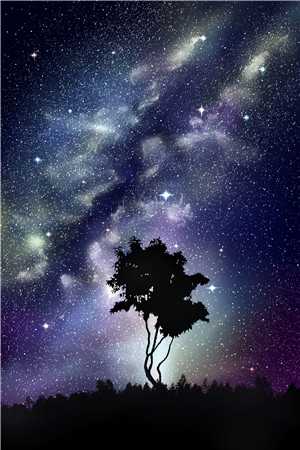 旧路无归复雪落优质全文阅读