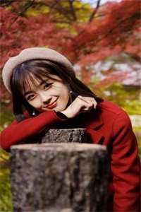 重生白月光！大佬们跪求我回头免费阅读